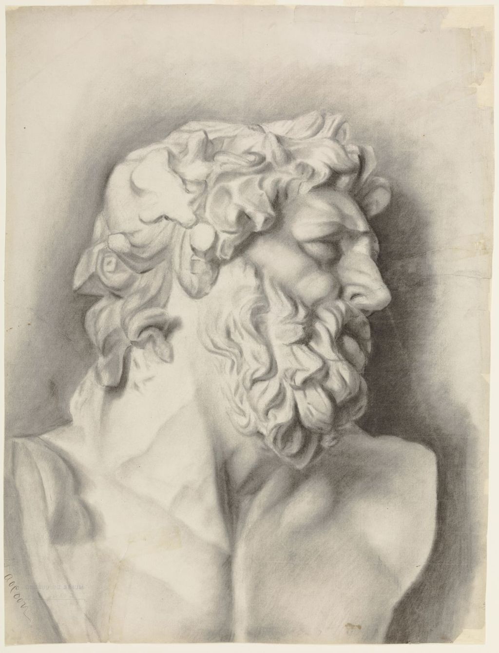 Étude du buste du Laocoon d'après le plâtre, vue de profil