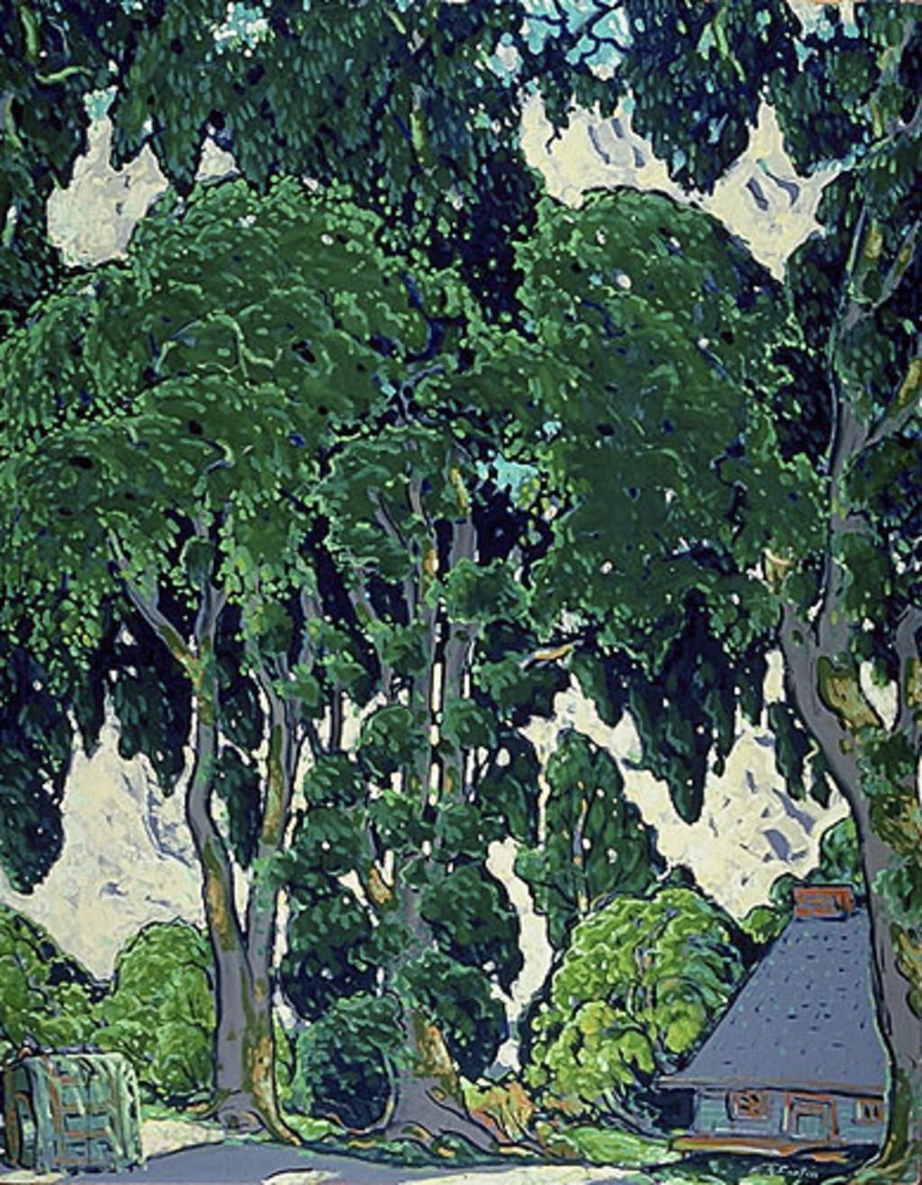 Ombres d'été