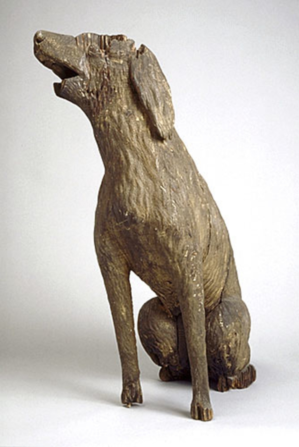Chien de saint Roch