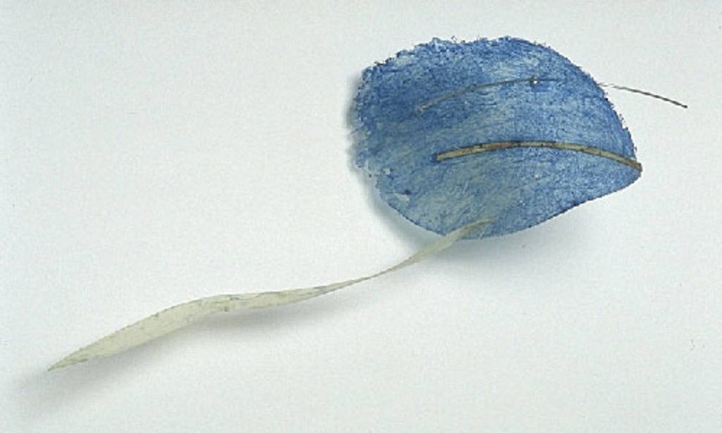 Naïade Blues 1