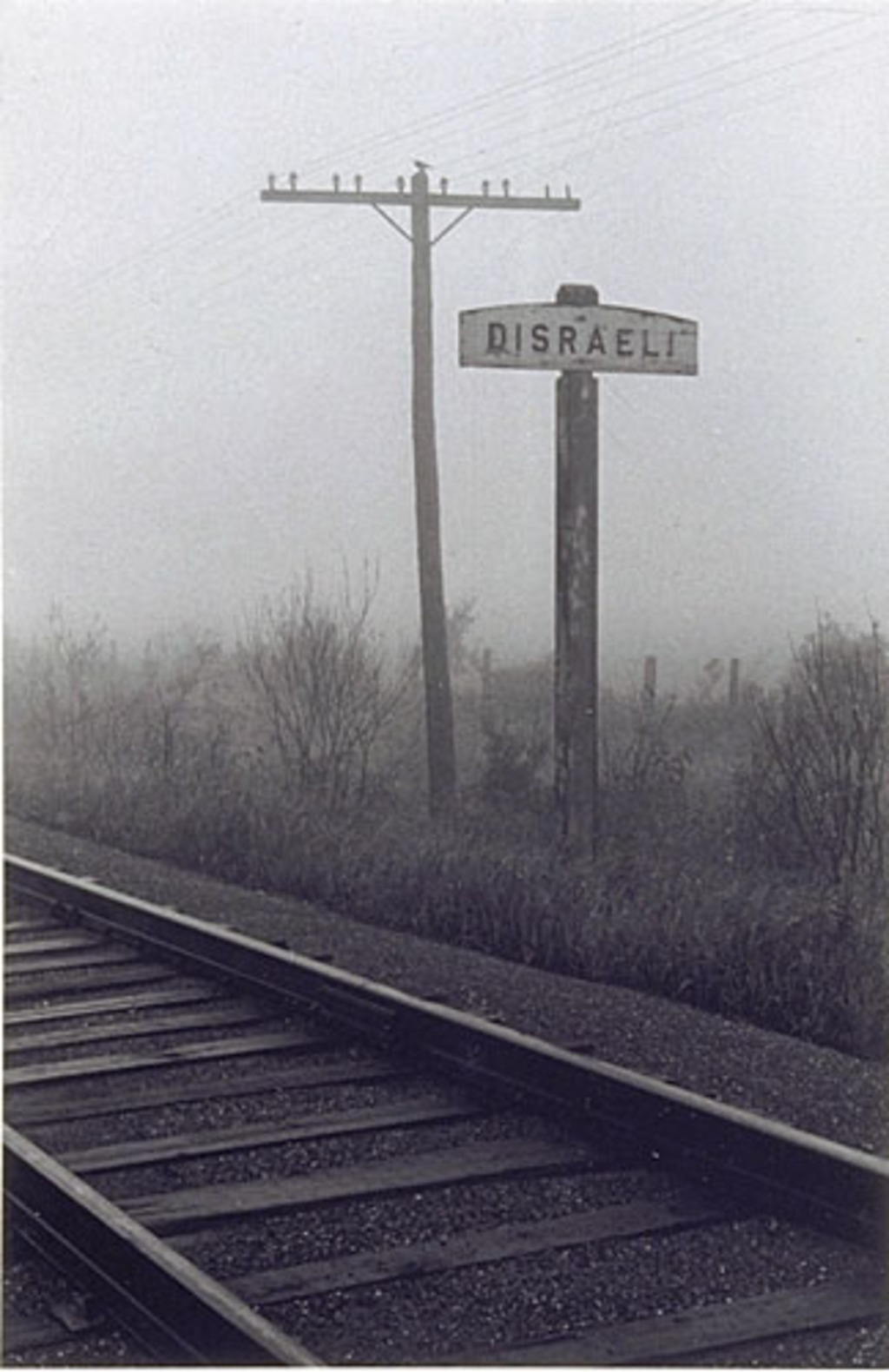 Route 1 qui mène à Disraeli, de la série « Disraeli, une expérience humaine en photographie »